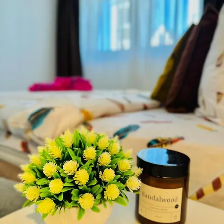 White Shell - Cozy & Stylish In Old Town