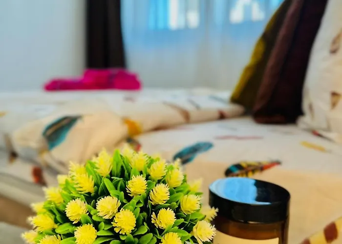 White Shell - Cozy & Stylish In Old Town